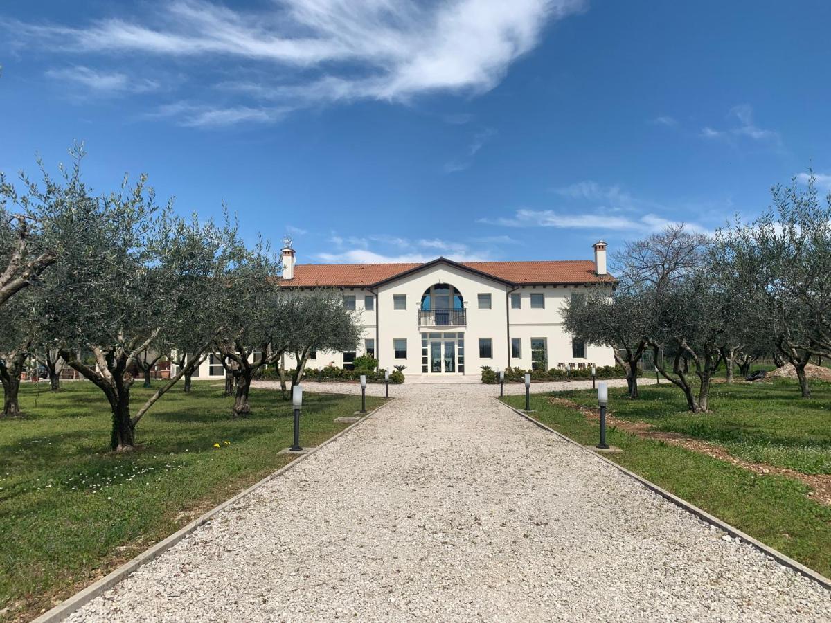 Villa Agriturismo Zapparè à Trevignano Extérieur photo