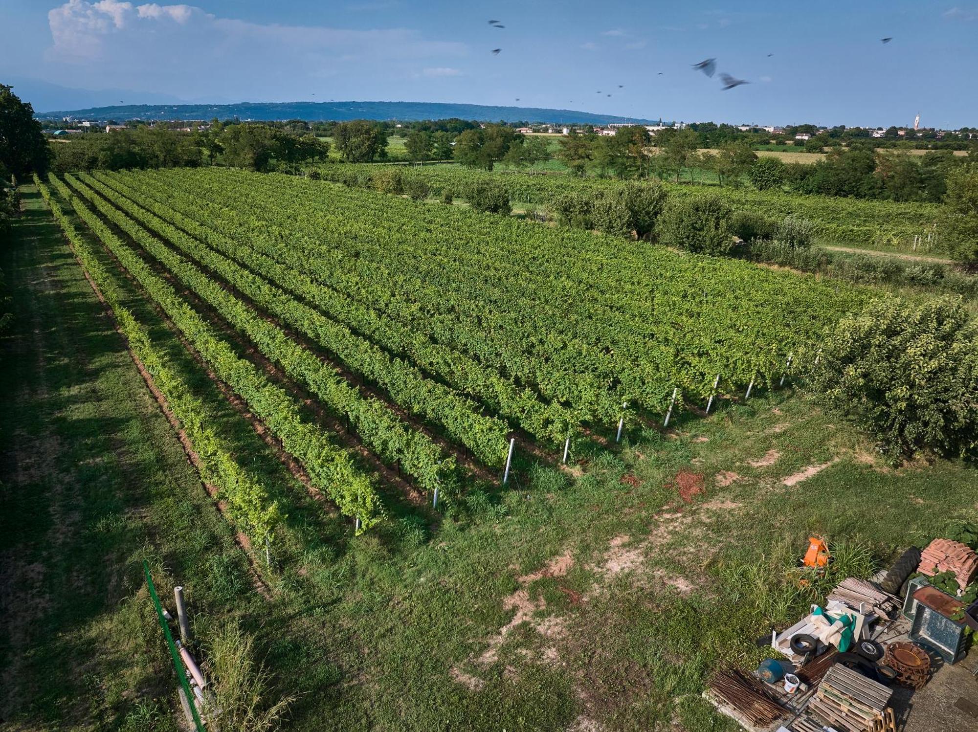 Villa Agriturismo Zapparè à Trevignano Extérieur photo